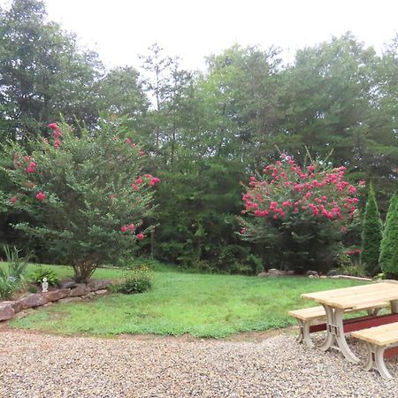 Scenic Fox Ridge Cabin On 4 Acres With Hot Tub! Whittier Ngoại thất bức ảnh