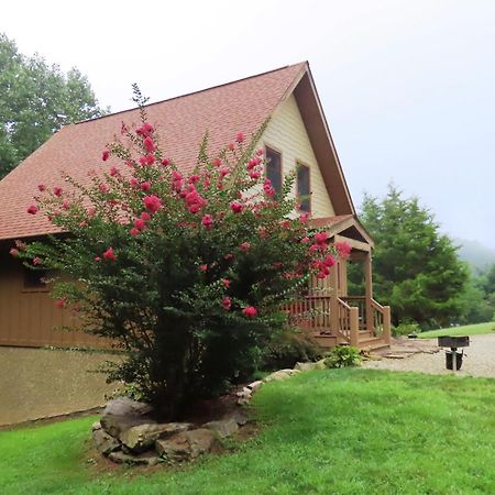 Scenic Fox Ridge Cabin On 4 Acres With Hot Tub! Whittier Ngoại thất bức ảnh