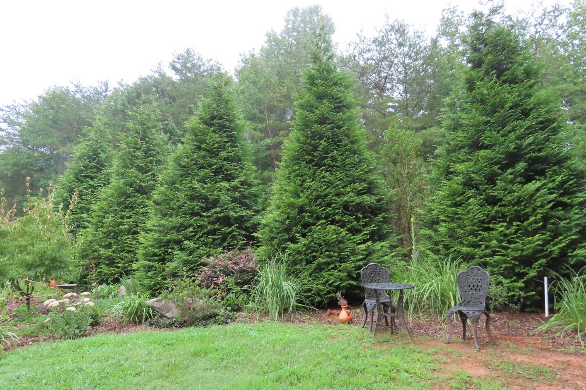 Scenic Fox Ridge Cabin On 4 Acres With Hot Tub! Whittier Ngoại thất bức ảnh